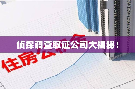 泰宁侦探调查取证公司大揭秘！
