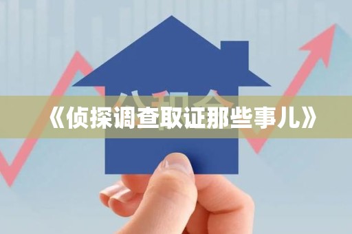 泰宁《侦探调查取证那些事儿》