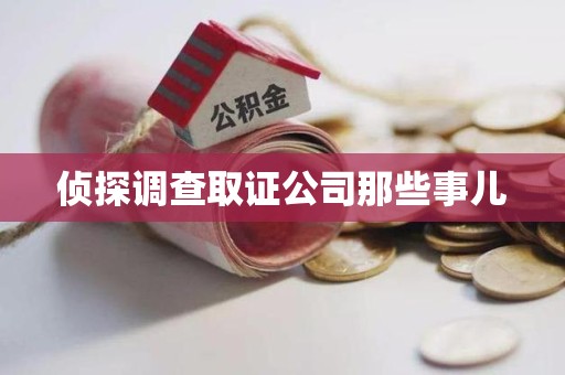 泰宁侦探调查取证公司那些事儿