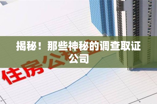泰宁揭秘！那些神秘的调查取证公司