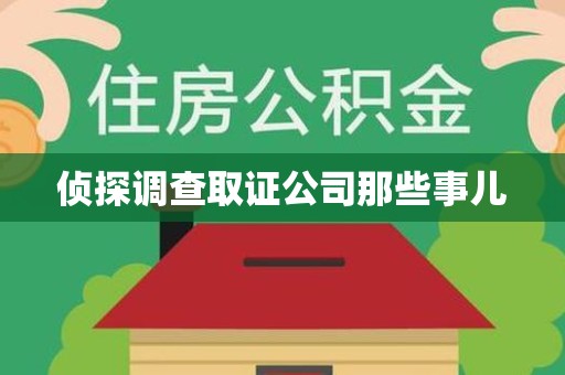 泰宁侦探调查取证公司那些事儿