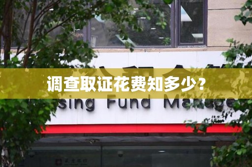 泰宁调查取证花费知多少？