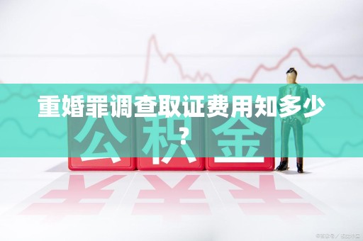 泰宁重婚罪调查取证费用知多少？