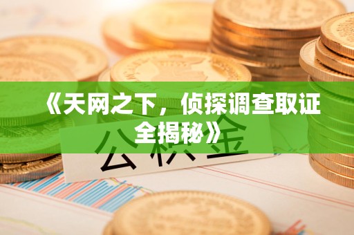 泰宁《天网之下，侦探调查取证全揭秘》