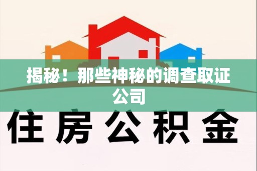 泰宁揭秘！那些神秘的调查取证公司