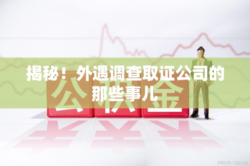 泰宁揭秘！外遇调查取证公司的那些事儿