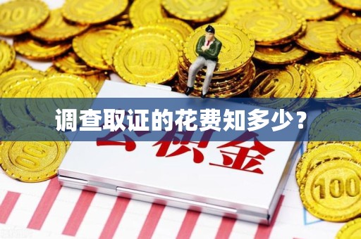 泰宁调查取证的花费知多少？